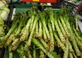 celtuce