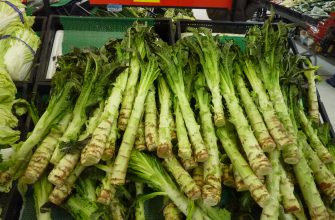 celtuce