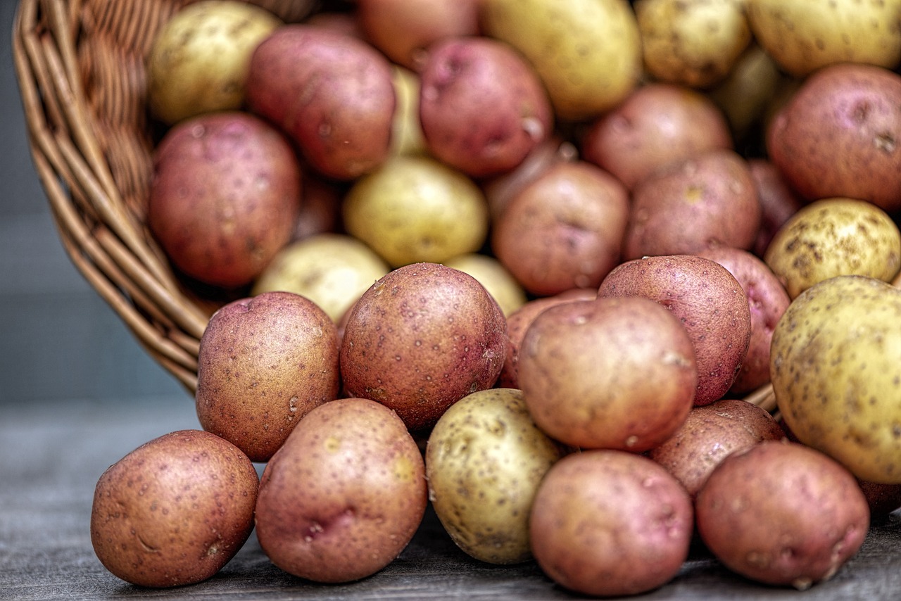 Rané brambory