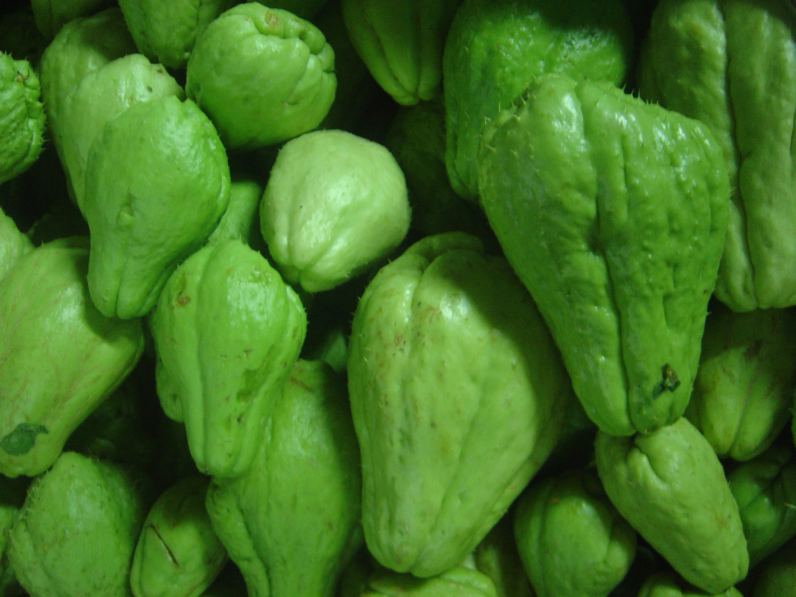 chayote