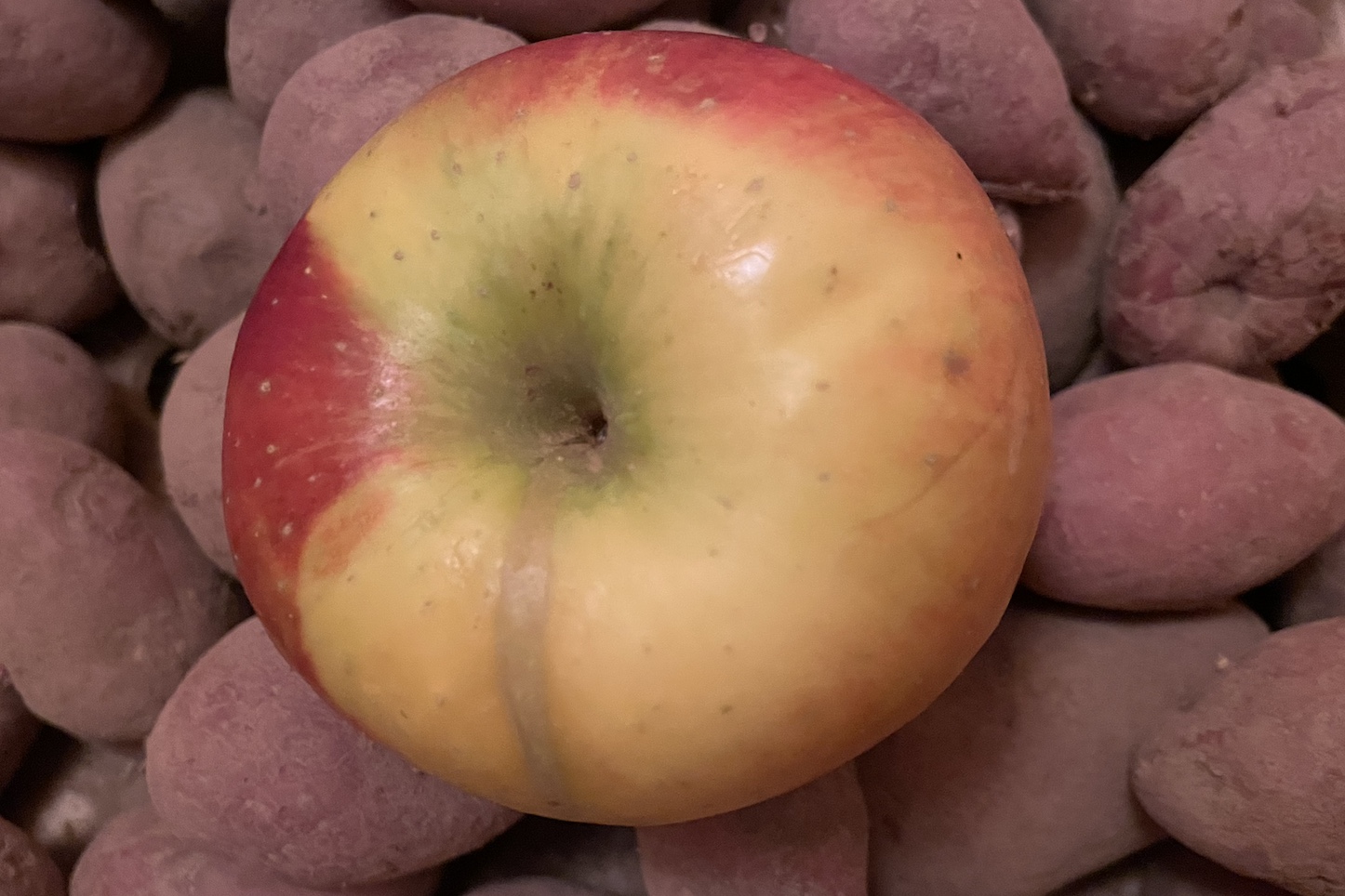 Jablko a brambory