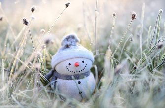 trávník v zimě