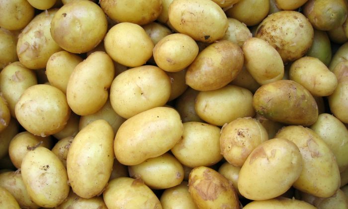 Brambory