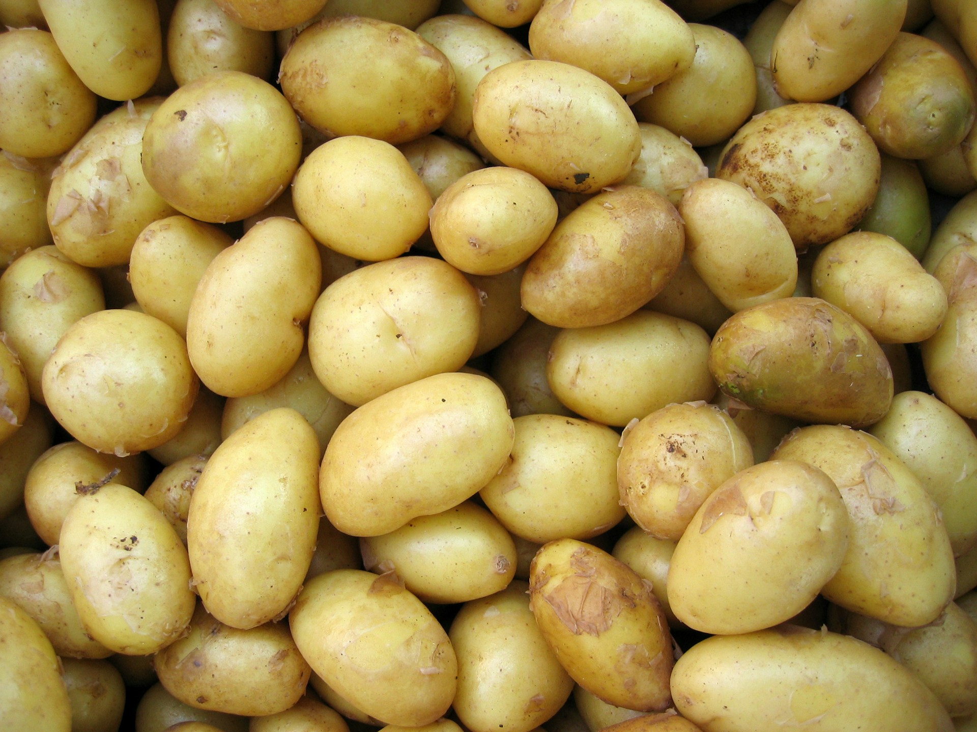 Brambory