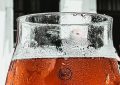Pivo, použití piv na zahradě, slimák, past, hnojení