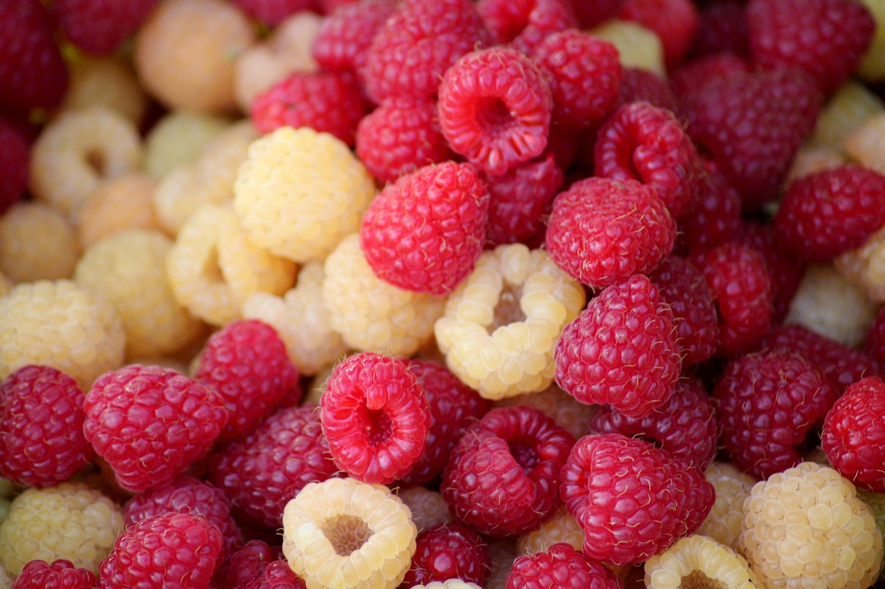 Maliny