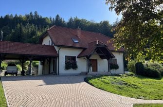Čistá střecha