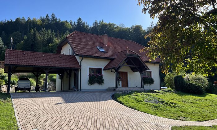 Čistá střecha