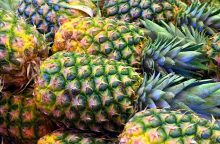 Ananas