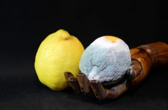 Plesnivý citron