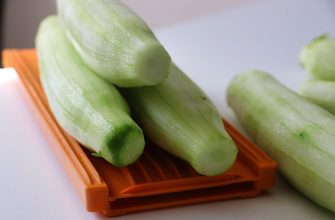 Okurková polévka, recept, léto, okurky, zdraví