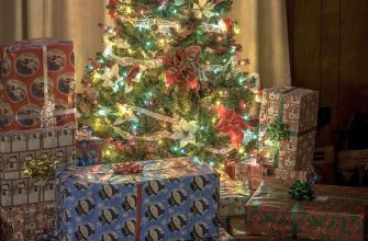 příběh, tip, trik, Vánoce, myš, zvíře vánoční stromek, čerstvost, zálivka, péče, výdrž