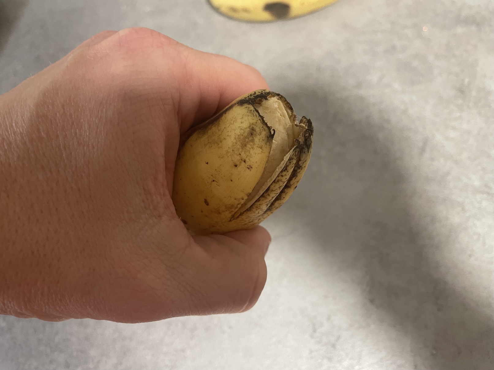 Banán s odlomenou stopkou ideální ke konzumaci