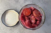 Fermentovaná zelenina