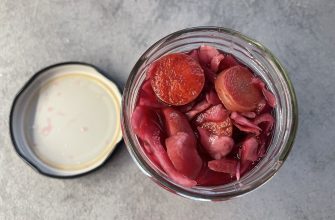 Fermentovaná zelenina