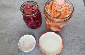 Domácí fermentovaná zelenina ve dvou variacích