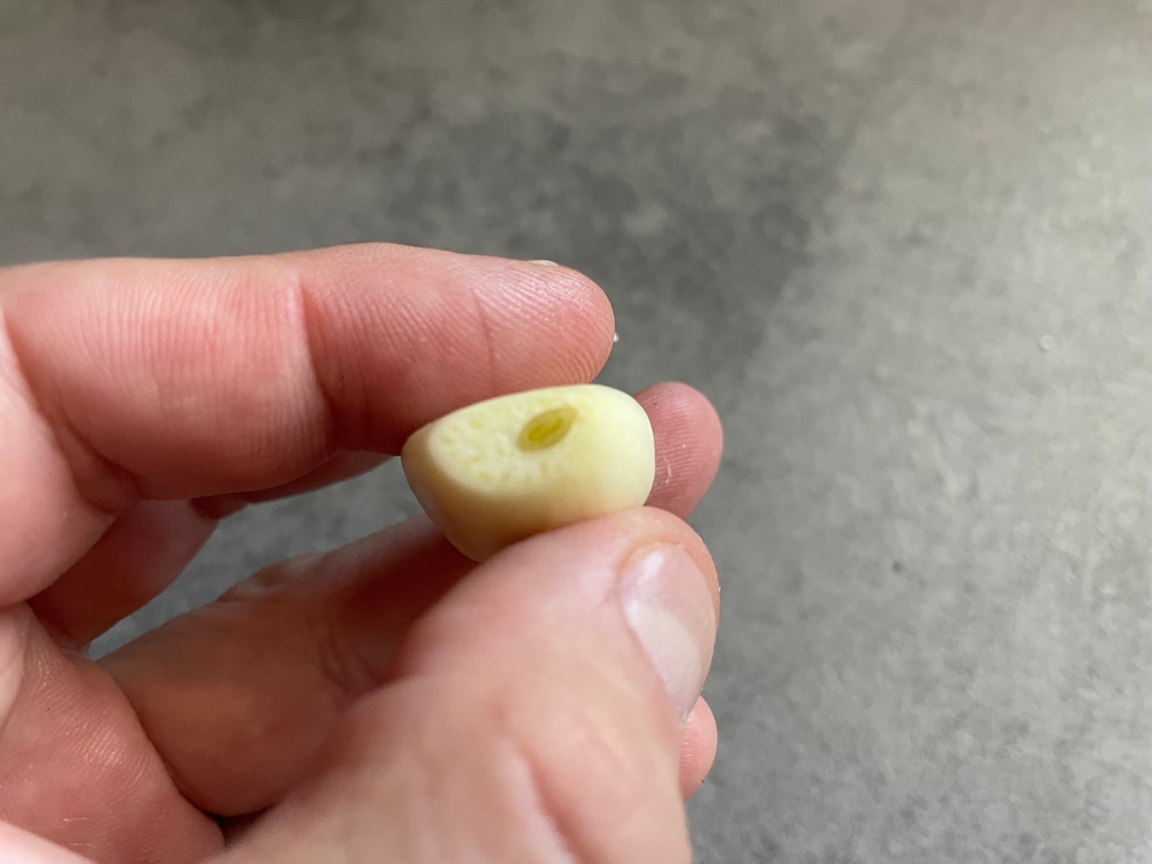 Klíček česneku shora