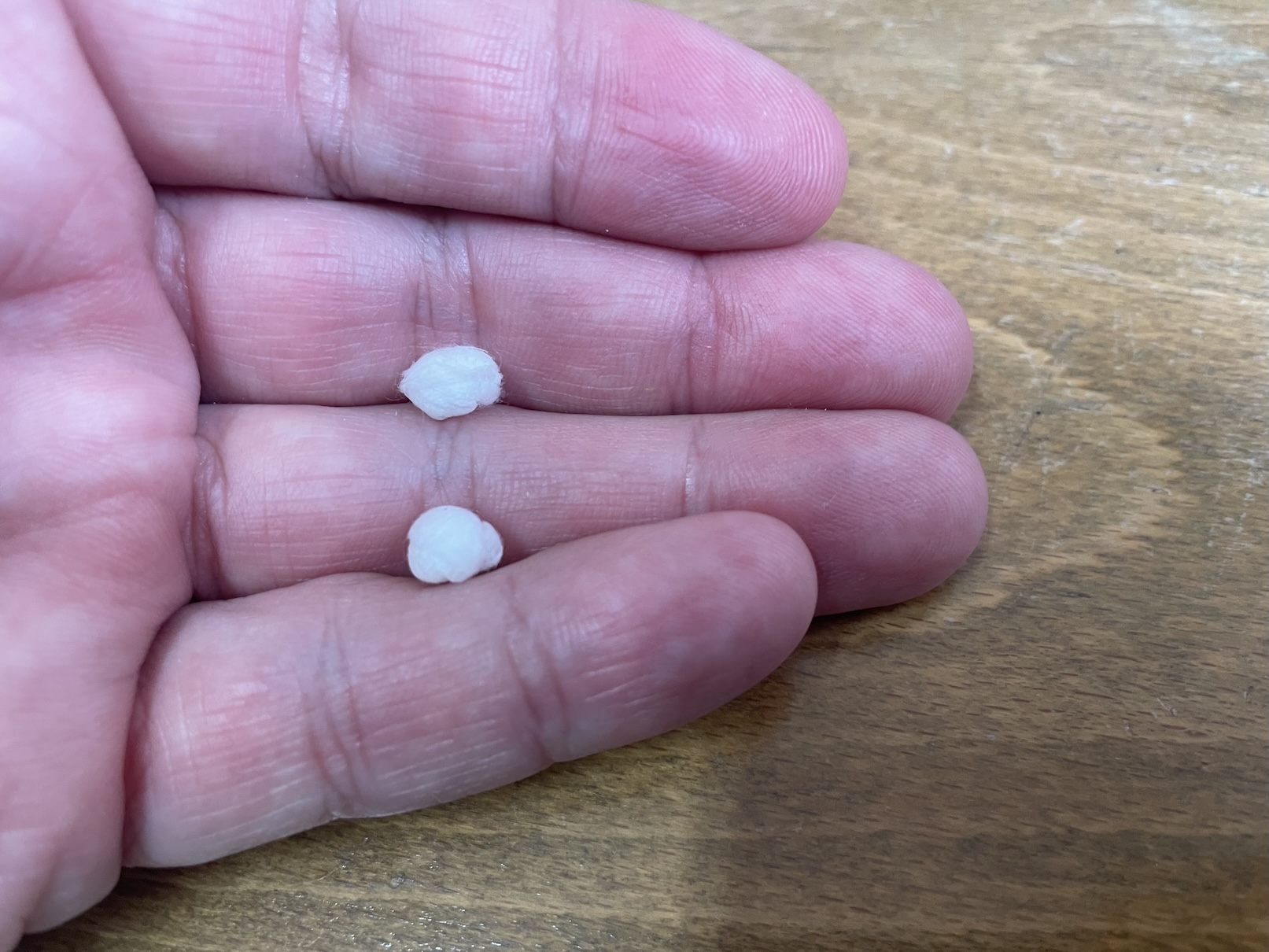 Kuličky proti myším