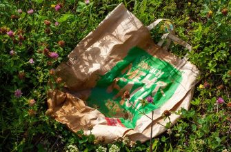 Příběh, kočky, kotě, zvířata, záchrana