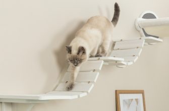 Škrabadlo pro kočky