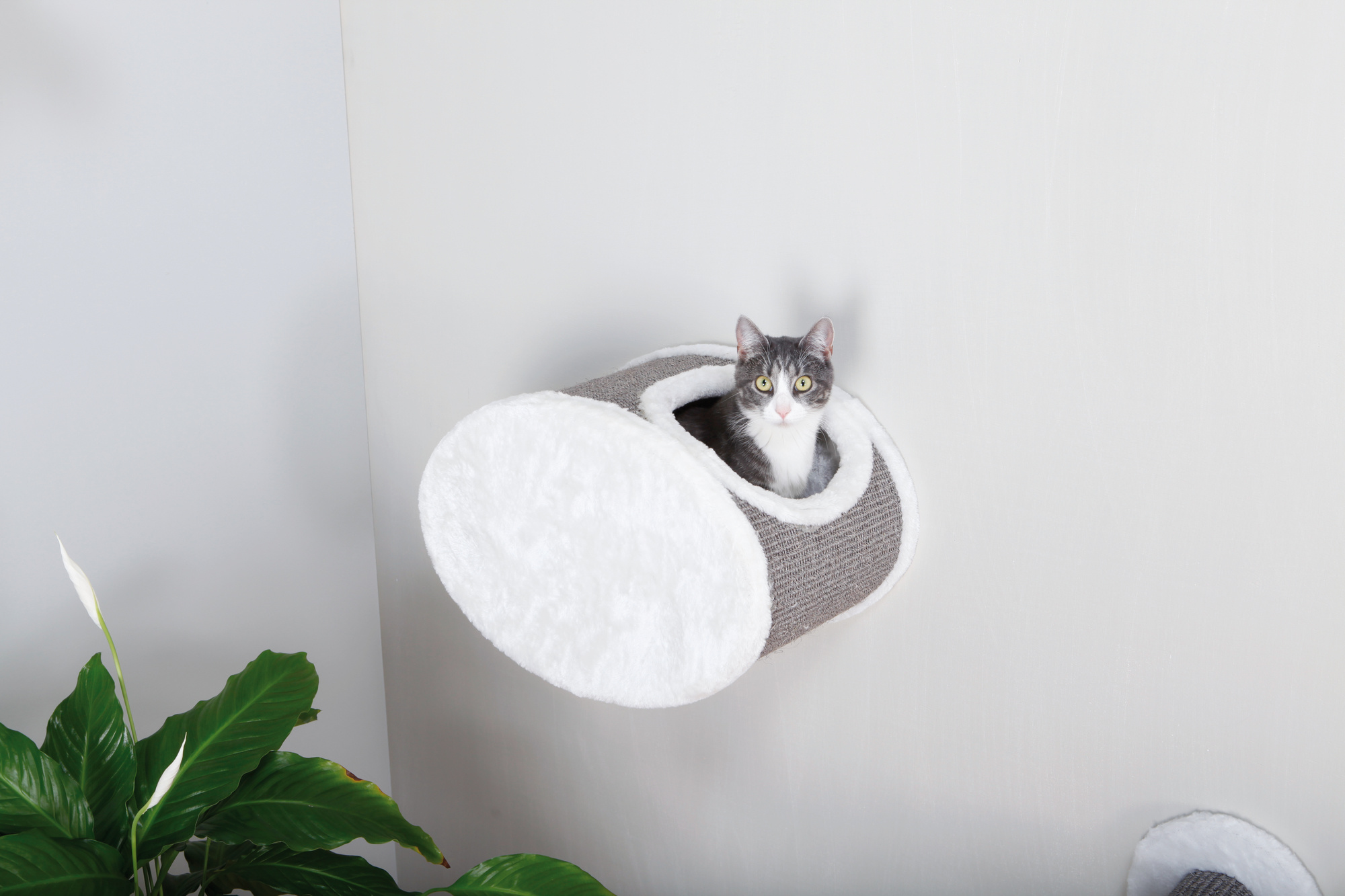 Škrabadlo pro kočky