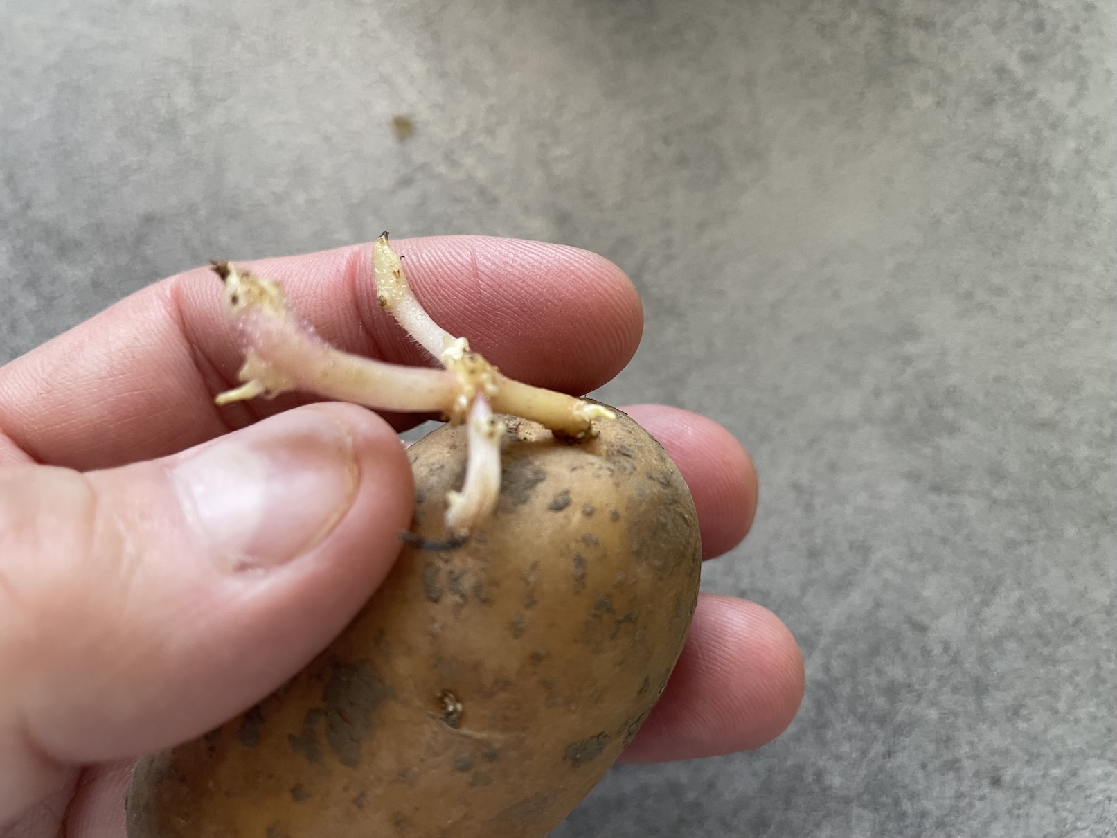 Nesprávný klíček