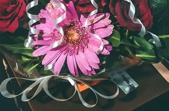 Příběh, oslava, rodina, peníze, trapas