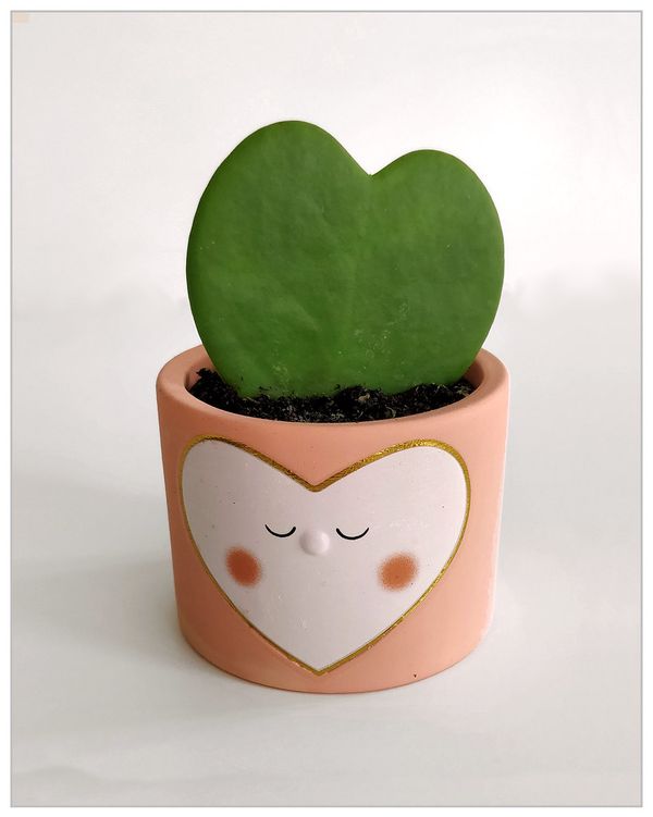 Srdcový list jako valentýnský chyták na zákazníky