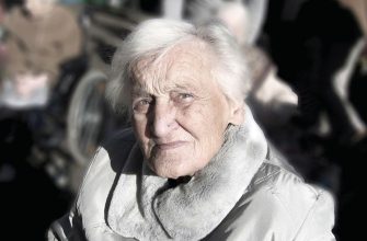 Zvíře, veterina, příběh, králík, morče