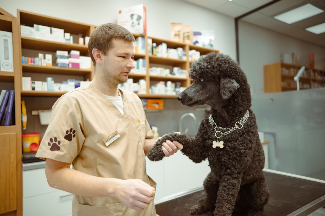 MVDr. Kryštof Doležal