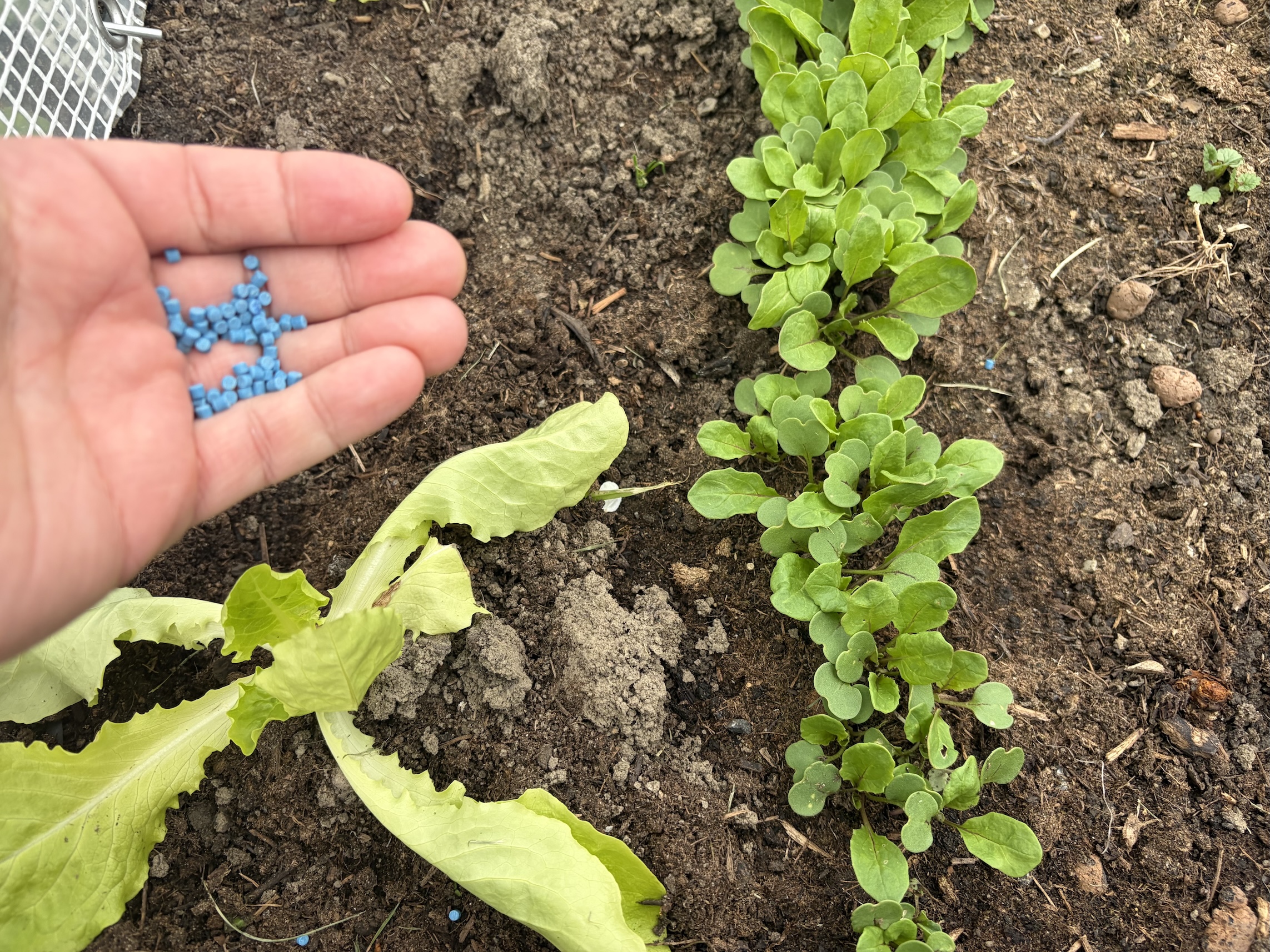 Granulky na slimáky