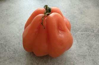 Coeur de Boeuf