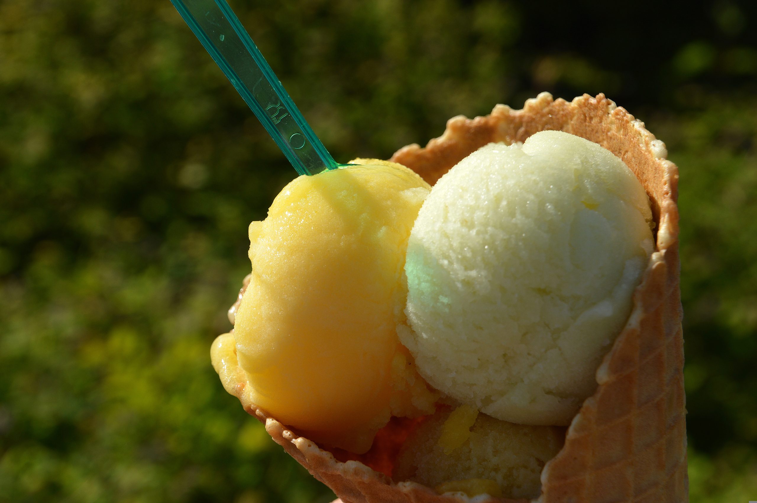 Sorbet