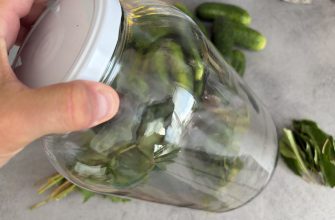 Close-up of a hand holding a glass jar with a white lid containing green pickles.