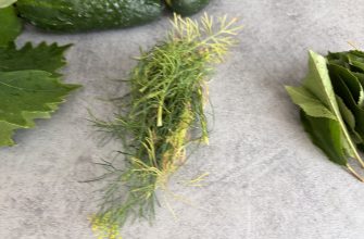 Bundle of thin green plant sprigs with yellow tips laid on a gray concrete surface on the ground