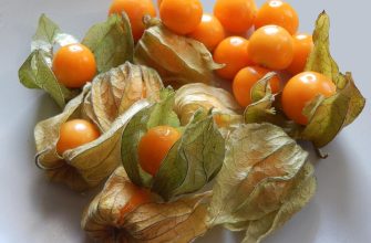 Cluster of orange cape gooseberries (physalis) with light papery husks still attached on a pale surface, fresh and ripe-looking.