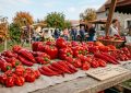 Paprika
