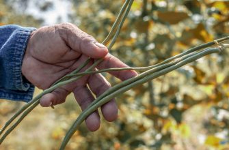 Close-up of a hand gripping thin wire rods outdoors, with autumn foliage in the blurred background and a denim sleeve visible.