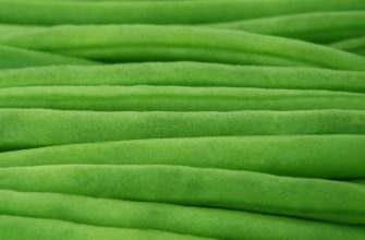 Close-up of overlapping bright green leaves forming horizontal waves, with soft focus on a nature texture image.