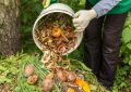 Person wearing gloves pours kitchen scraps from a bucket onto a garden compost pile.