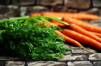 Fresh orange carrots with green tops on a stone surface. Ironic? No—just a descriptive alt.