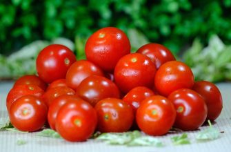 Pile of ripe red tomatoes on a light surface with a green garden backdrop behind them.