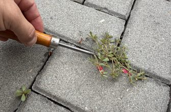 Close-up of a hand using a small wooden-handled tool to loosen a weed growing in a crack in gray stone pavement.