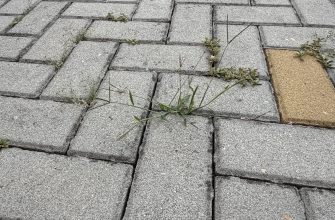 Gray interlocking concrete pavers with weeds growing in the cracks between them.