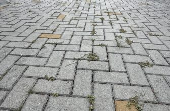 Plevel v dlažbě