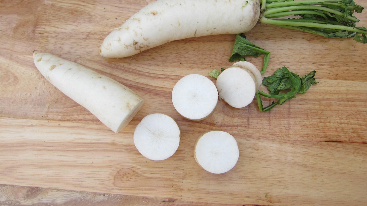 ředkev daikon
