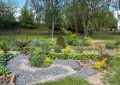 Colorful garden with gravel paths and low wooden planters, lush greenery, and trees beyond a red fence under a blue sky