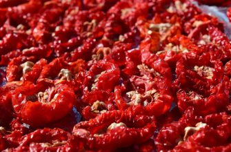 Sun-dried red chili peppers spread in a dense layer on a flat surface, with visible seeds.