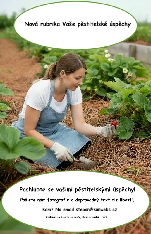 Vaše pěstitelské úspěchy