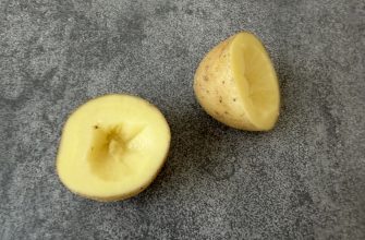 Brambor na rybenky